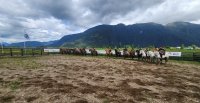 Criadores de Aysén inauguraron corral de aparta con entretenida competencia