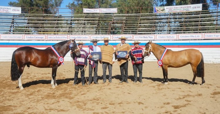 Expo Longaví premió como los mejores a Artirio y Guerrera