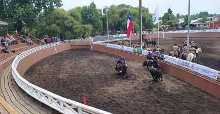 Los resultados del Zonal Sur 2025