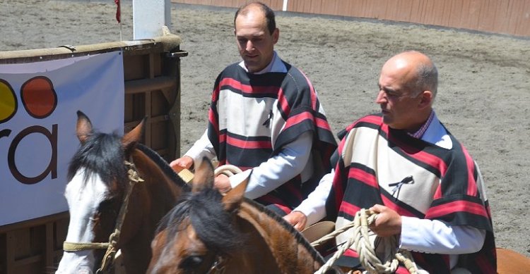 Los Rehbein abrocharon el último cupo para la final del Zonal Sur en Purranque