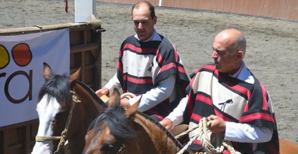 Los Rehbein abrocharon el último cupo para la final del Zonal Sur en Purranque