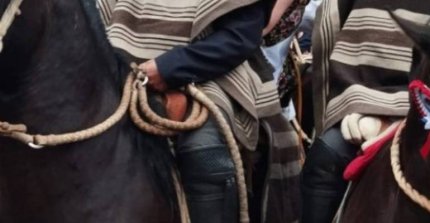 Listados de colleras para los rodeos limitados de este fin de semana