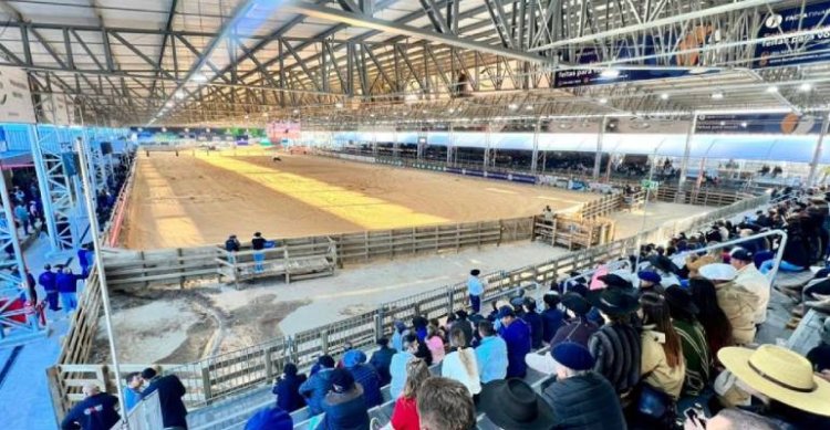 Delegación chilena participará en la Semana del Caballo 