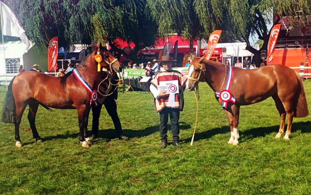 Criadero Río Claro tuvo gran cosecha en la Expo Sago Fisur 2025