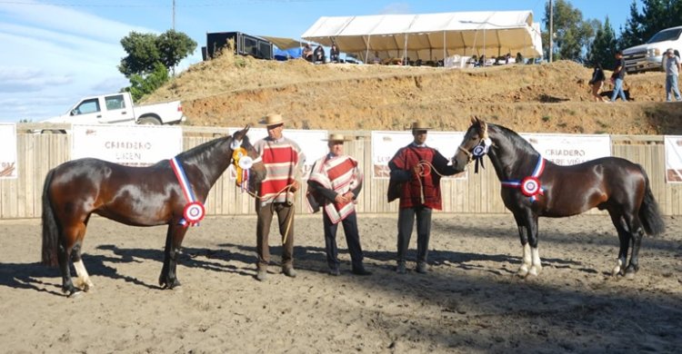 Victoria y Mago cautivaron en una concurrida Expo Itata