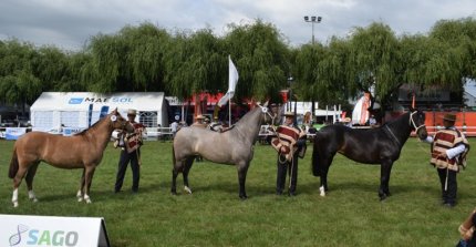 Los Grandes Premios de la Expo SAGO FISUR 2025