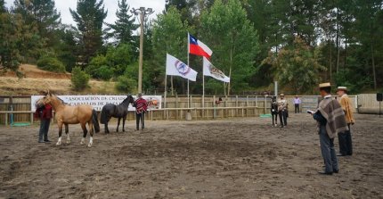 Lomas de Metrenco recibió exposición y pruebas funcionales