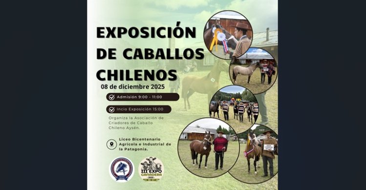 Criadores de Aysén harán su exposición como parte de una gran feria en Coyhaique