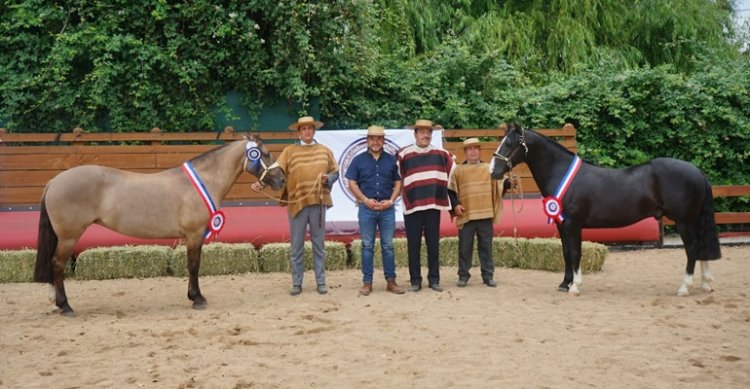 Amante y Titulado ahora conquistaron la Expo Maipo en Paine