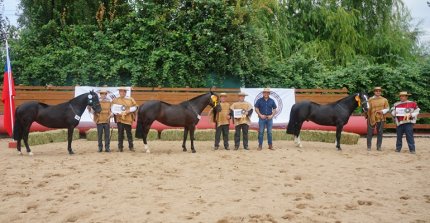 Los Grandes Prremios de la Expo Maipo 2025