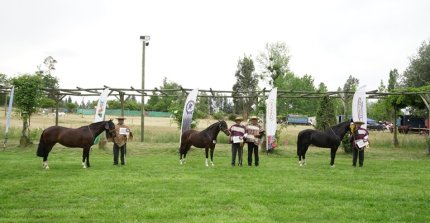 Los Grandes Premios de la Expo Colchagua 2025