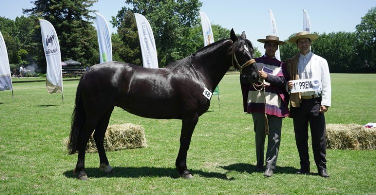 Los premiados por categoría de la Expo Curicó 2025