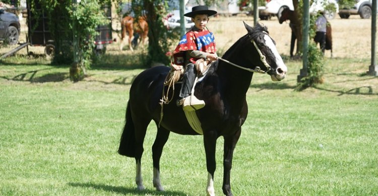 Lindos momentos de la Expo Colchagua en Peralillo