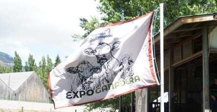Criadores de Aysén participaron con exposición en la III Expo Ganadera