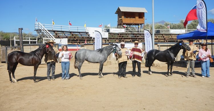 Los Grandes Premios de la Expo Petorca 2025