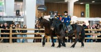 Acción pura se vive en el Salón du Cheval en Francia