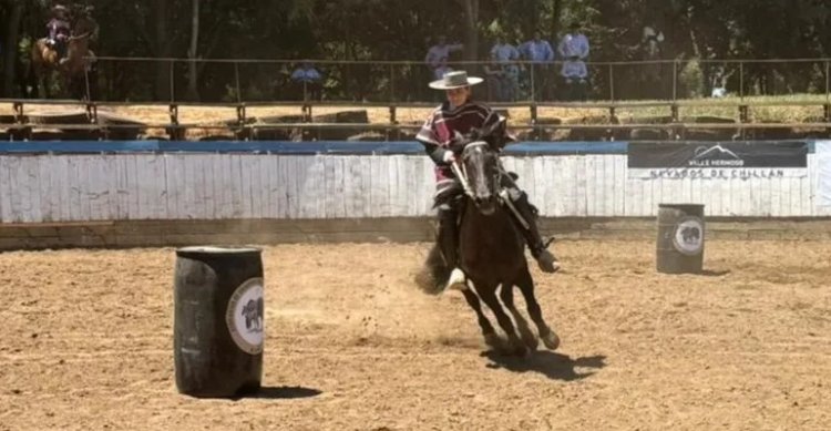 Criadores de Ñuble siguen avanzando hacia las Finales de Pemuco con gran apoyo de diversas entidades