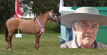 Luis Oyarzún celebró su primer gran triunfo con Las Quebradas Esquiva en la Expo Castro Chiloé