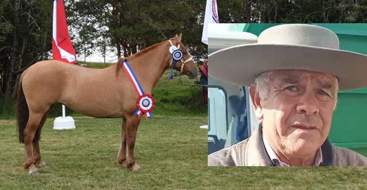 Luis Oyarzún celebró su primer gran triunfo con Las Quebradas Esquiva en la Expo Castro Chiloé