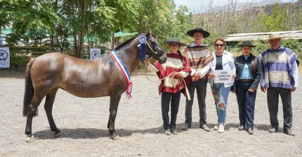 En Cale Larga se vivirá una nueva edición de la Expo Los Andes