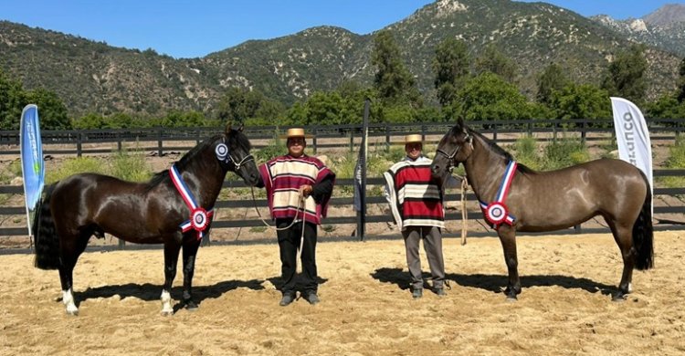 Intruso T.E. y Cuentera deslumbraron nuevamente y ganaron la Expo Cordillera
