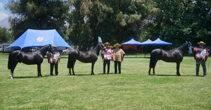 Los Grandes Premios de la Expo Los Andes 2025