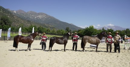 Los Grandes Premios de la Expo Cordillera 2025
