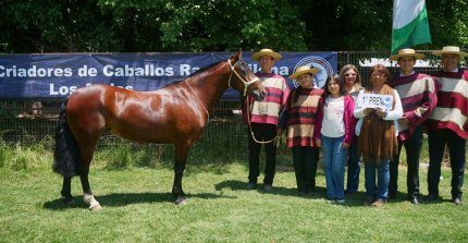 Los premiados por categoría de la Expo Los Andes 2025