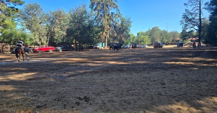 Ya están disponibles las fichas de inscripción para la Final de Exposiciones y Funcionalidad