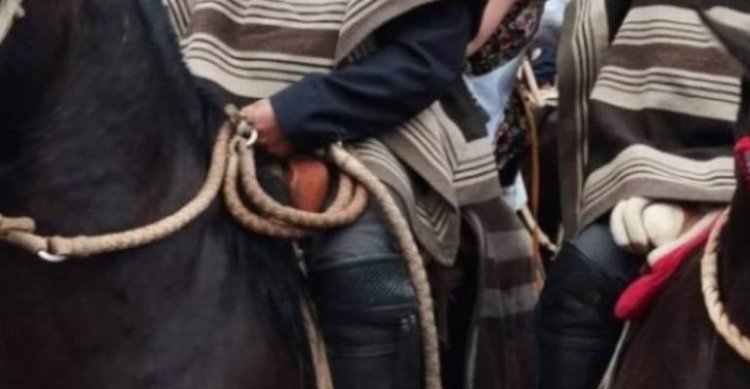 Listados de colleras para los rodeos limitados del primer fin de semana del año