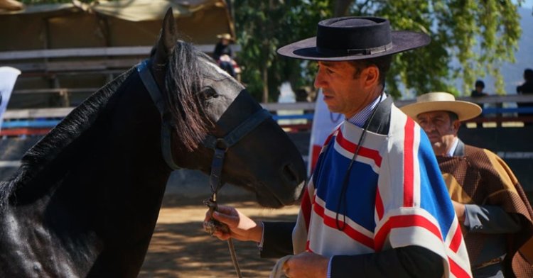 [STREAMING] Sigue la Expo Ferocam en Producciones JP