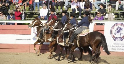 Tres Escuadras Ecuestres serán parte del programa de la Final de Morfología y Funcionalidad