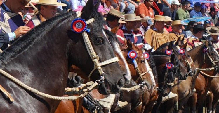 Listado de inscritos para la Final de Rodeo Para Criadores 2026 de Cauquenes
