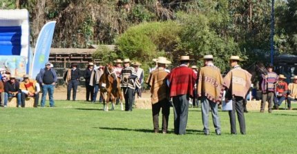 [EN VIVO] La jura de las categorías de machos de la Expo Nacional