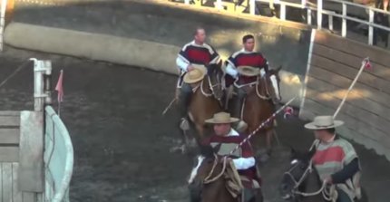Palmas de Peñaflor se lució con triunfo en yeguas nuevas en Lanco