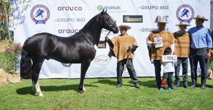 Los premiados en las categorías de Machos de la Expo Nacional 2026