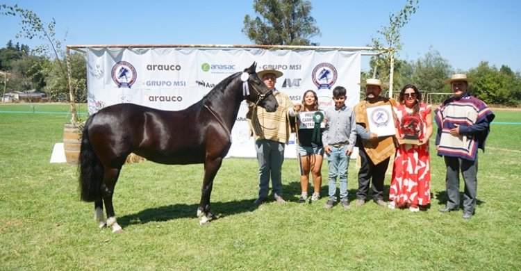 Jorge Aspee: Los premios de Almendra Qué Patrona fueron la guinda a la torta