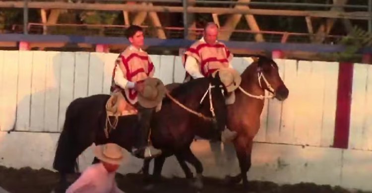 Criadero Brisas de Santa Filomena triunfó en el Provincial del Club San Miguel