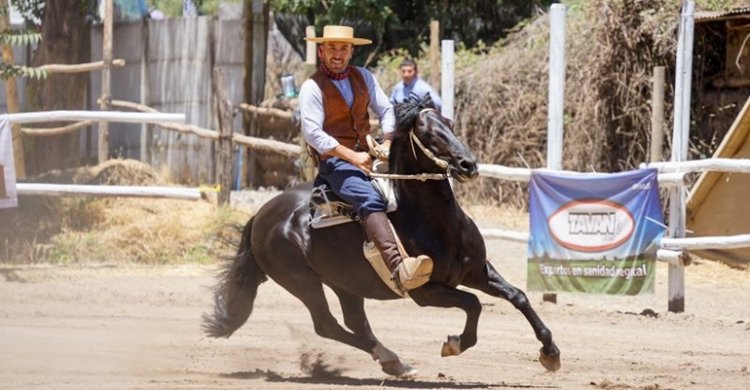 Taller de Rienda Sin Fronteras con Gonzalo Nievas generó mucho interés en Capitán Pastene