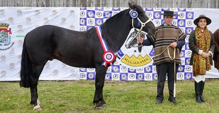 Expo Magallanes llega a la Villa Tehuelches en el marco del Festival de la Esquila