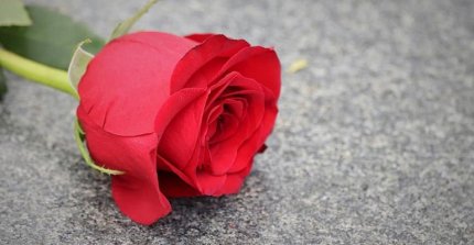 Condolencias para la familia de Ramiro Carreño Matus