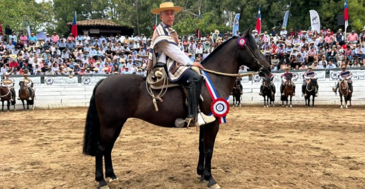 Gallipavo Reina fue elegida Sello de Raza en la Final de Rodeos Para Criadores