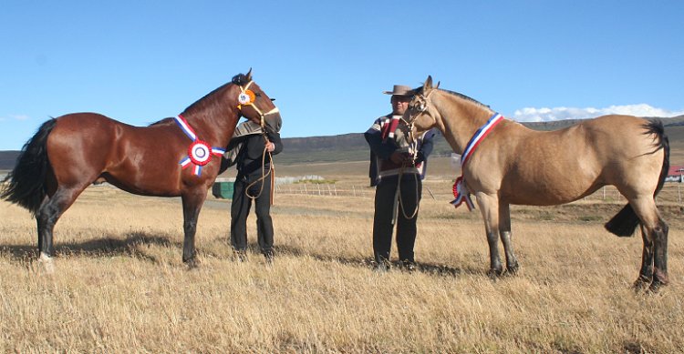 Leonera e Hilo Rojo se coronaron grandes campeones de la Expo Ultima Esperanza