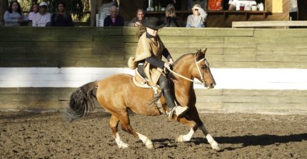 Federación de Criadores hará convocatoria nacional para exponentes femeninas de Rienda