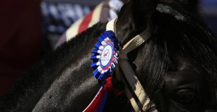 Andrés Ruiz Tagle: La vara está bien alta, así que hay que seguir trabajando para que salga mejor