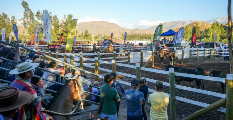Pruebas Funcionales tendrán fecha oficial durante el rodeo del Club Cato