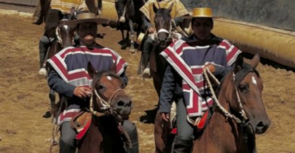 Criadero El Pegual Nuevo ganó el Interasociaciones del Club Chillán