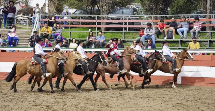 Se suspendió Fiesta Internacional del Caballo y la Charrería en Jalisco