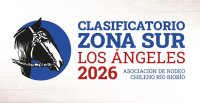 Los datos imperdibles del Clasificatorio Zona Sur de Los Angeles
