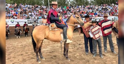 Las Vertientes de Riñihue Reina se adjudicó el Sello de Raza en el Clasificatorio Sur de Los Angeles